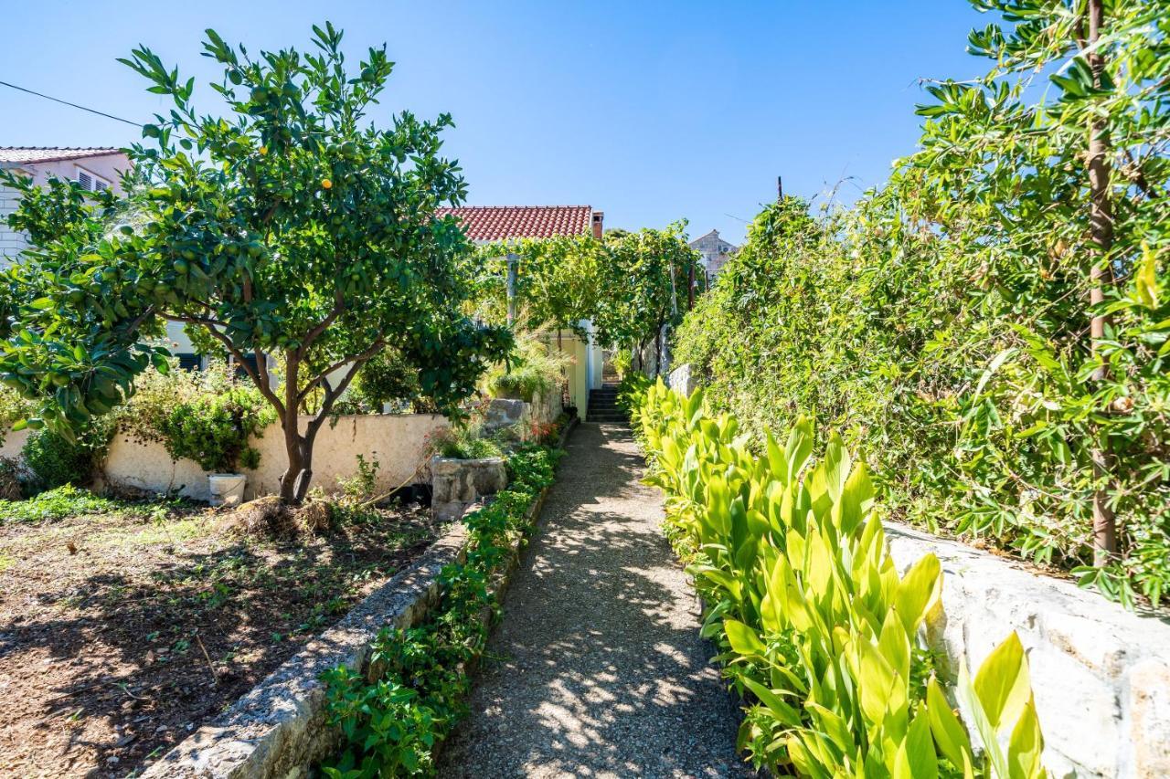 Apartments Lidija Затон Екстериор снимка